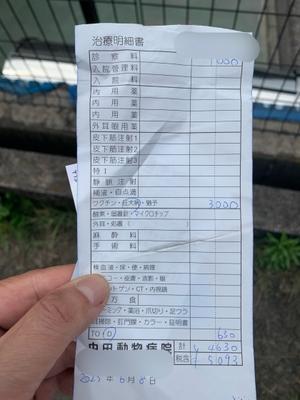 狂犬病ワクチン注射に行って来ました。 - 徒然草- -ラジ馬鹿日誌