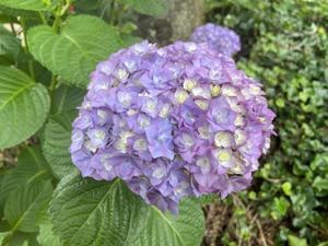 my gallery-2