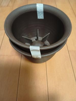 二三日前に実家に帰りました - chii_natuwoのほのぼの日記