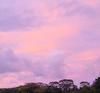 Nature Care Hawaii - ハワイ島の夕焼け