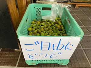 狩野川スタッフブログ