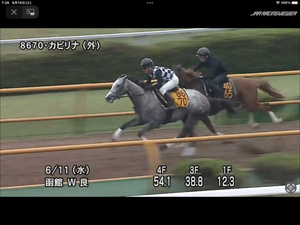今週宝塚記念/2025.6/14 - 馬主クラブの研究