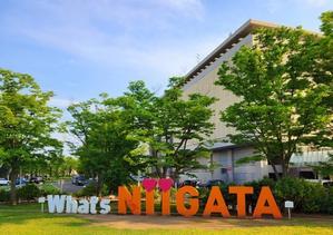 槇原敬之さんが新潟に来てくれたので拝んできた話【ネタバレ無し】 - 綿帽子の手帖