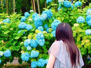旅人ゆめきらりの自由気ままなブログ