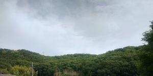 ６月７日　いつものM山 - 週末は山歩き