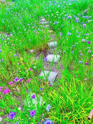 Thank you/さんきゅー - side by side