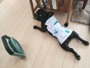 エアコンはじめました - 平日、会社を休んだら