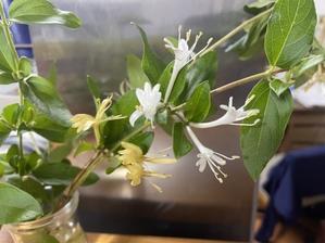 部屋の中がいい匂い - トルコ子育て生活