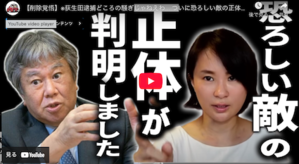 【日本の闇】TSMCは青幇なのか？深田萌絵「ついに恐ろしい敵の正体が判明したから全部バラします」 - Kazumoto Iguchi's blog 5