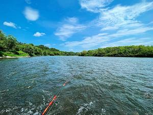  <Episode #746> 初夏の匂い / 天塩川 - slow fishing ver.3