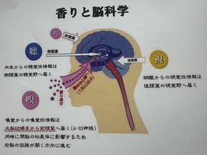 【緊急特別案内】6月21日(土)/横浜/宇宙と現実を調律する「香りの講座@前田なつみ」（ミラクル７）〜お金・霊性・才能が開花する覚醒の一滴 - 宇宙となかよし