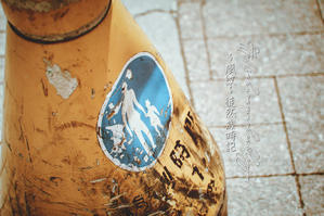 ～風紋～徒然歳時記