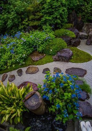 霊源院（建仁寺塔頭）～天井画墨龍図・甘茶の庭「鶴鳴九皐」特別公開 - 山紫水明