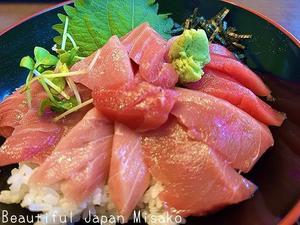 サガミのマグロ丼🧡･ﾟ☆､･：`☆･･ﾟ･ﾟ☆ - Beautiful Japan 絵空事
