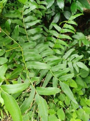 三瓶山なんでも情報