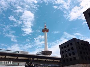 旅人ゆめきらりの自由気ままなブログ