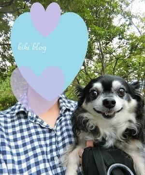 小遣い稼ぎにアフィリエイトもやってます - KIKIブログ