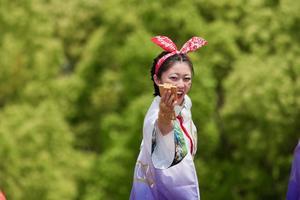 ２０２５ひめじ良さ恋まつりその３（ゐちぺぃじ） - ヒロパンのよさこいライク・N-VANライフ