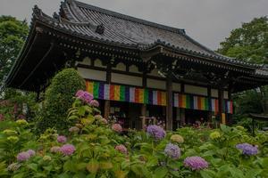 山紫水明
