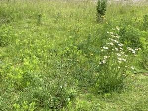拭き掃除は大事 - daisyの日記