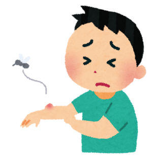 旅人ゆめきらりの自由気ままなブログ