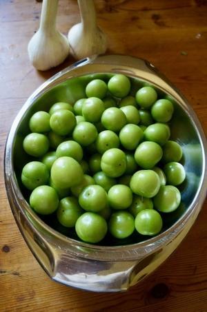 梅干しにトライしてみようかと - べルリンでさーて何を食おうかな？