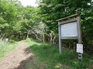 猟師岳のオオヤマレンゲ観察！ - 山に癒されて