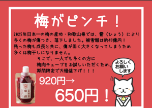 梅がピンチ！6月中はお試しセール！！！ - ちくわぶ料理研究家＆ごはんねこまる＆まるやま商店・丸山店長のブログ
