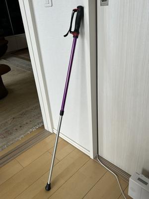 今、家の中ではほぼ杖なしです - もちろんしあわせ