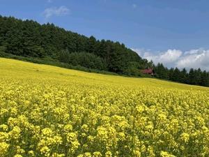 嘘のような景色！！ - 北の町であれこれ暮らす