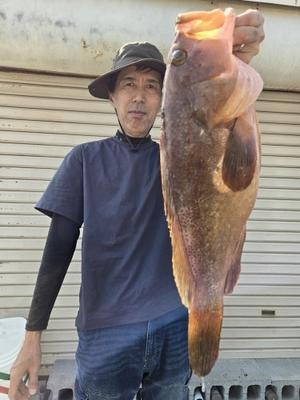 6月20日胴突きアコウ - 【桑田観光】第三神力丸  桑田慎太郎(090-1010-9491)