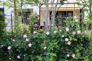 あけ、旅に出ました……静岡・愛知の旅その３ - あけの秘密の花園