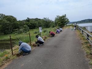 patapatamamaの日記