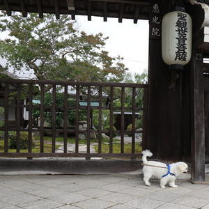 湖西に魅せられて　partⅡ