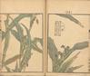 京都の風に吹かれて - 京都の風に吹かれて　　幸野楳嶺・千草の花　を観る4-3