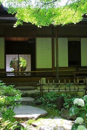 鎌倉一条恵観山荘　庭園 - 暮らしを紡ぐ2