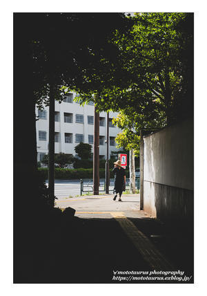 夏に至る - ♉ mototaurus photography