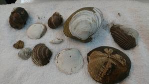 バーベキューをした訳ではありません - 金沢犀川温泉 川端の湯宿「滝亭」BLOG