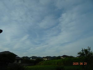 活き生き in 岬町