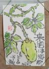 三日坊主 - 夏至