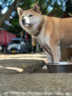 魔王の独り言　続編の続編
