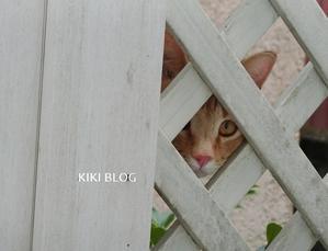 断捨離しなくてよかった物 - KIKIブログ