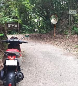 暑さにめげず - moltobene blog
