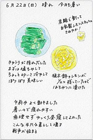 「きゅうりとレモン」 - 絵日記日和