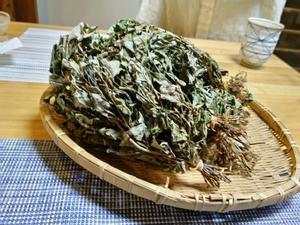 笠間・牛久日記