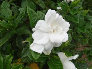 第466回大阪眼科集談会 その3 (1347)  実録！眼感染症クリニック - 小さな眼科クリニック＠城北公園　　　（竹内眼科医院）