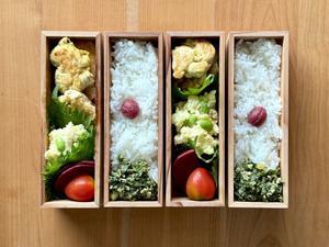 鶏ささみカレーソテー弁当 - 大学弁当