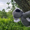 ブルーベルの森ブログ　英国の自然を愛するアーティストから直輸入 - ウーリーワンダーランド（Woolly Wanderland）を散策　ハナさんより