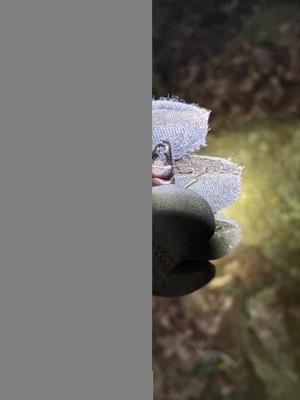 蒲郡のカネイ接骨院ブログ