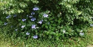 金沢犀川温泉 川端の湯宿「滝亭」BLOG
